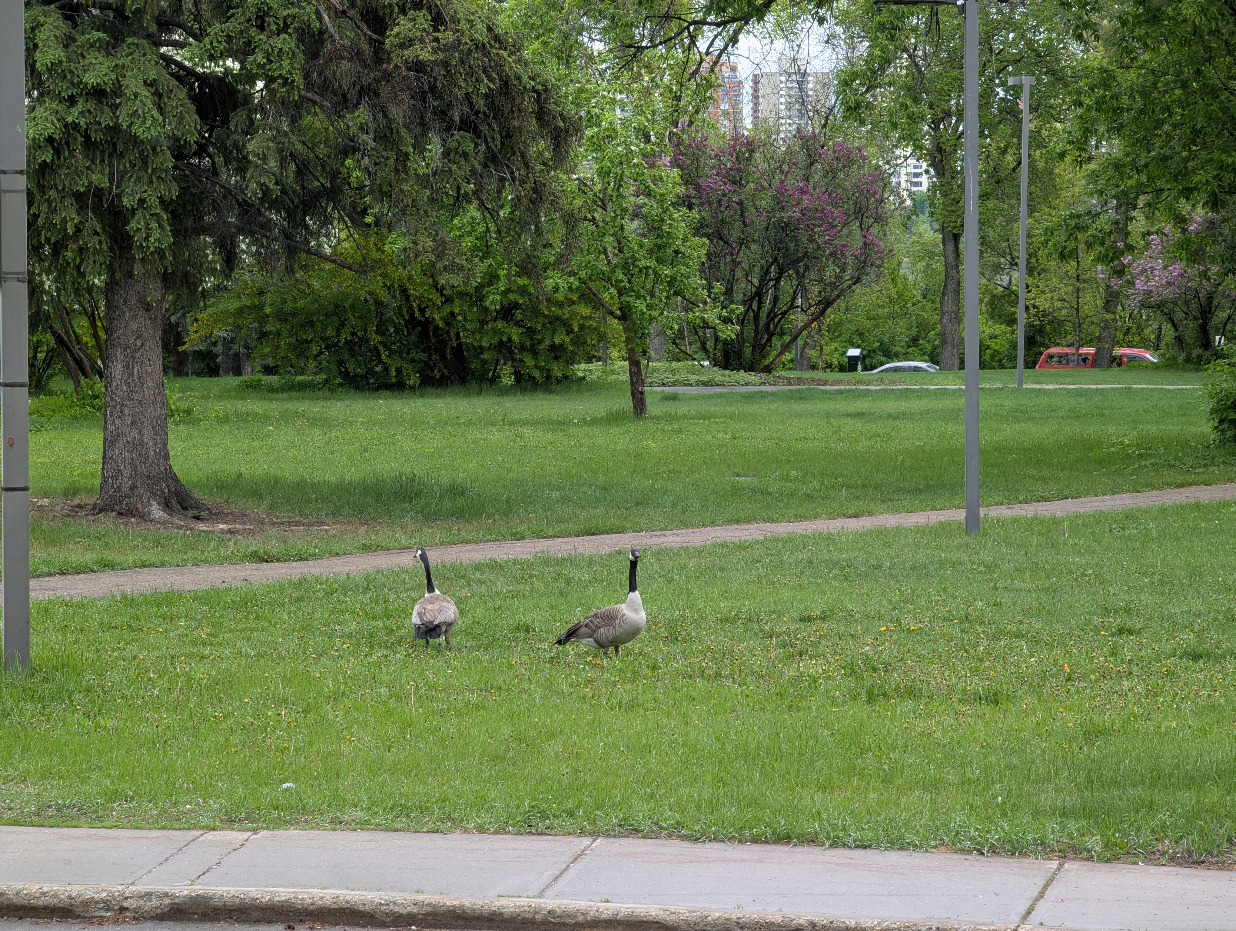 Birthday Trip to Canada, University of Alberta